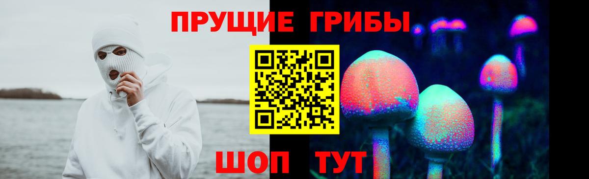 Галлюциногенные грибы ЛСД Кизилюрт