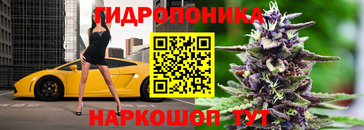 Бошки марихуана конопля  Канабис Bruce Banner  Бошки Шишки THC 21%  Вход с VPN  Шишки марихуана конопля  Кизилюрт 